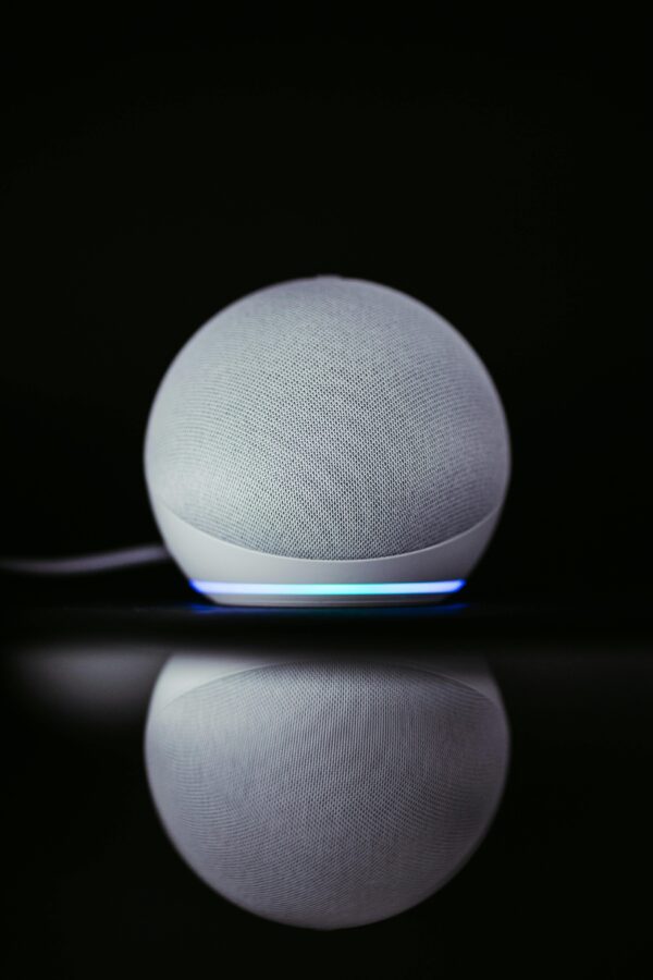 Bose SoundLink Flex Bluetooth Speaker